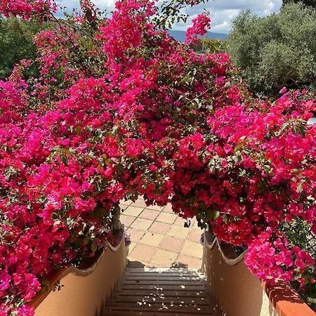 Casa Vacanze La Brii Iglesias Buitenkant foto
