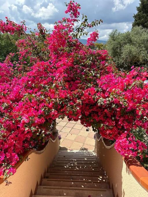 Casa Vacanze La Brii Iglesias Buitenkant foto